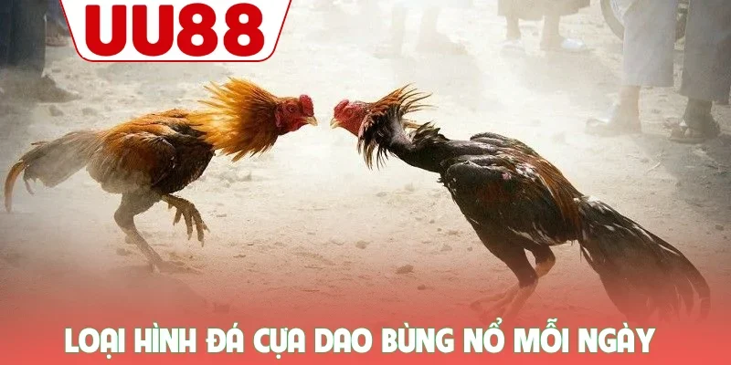 Đá Gà UU88 - Trực Tiếp Từ Thomo, Kèo Cược Thơm, Thắng Lớn Mỗi Ngày - zenvanta.best Đá Gà UU88 - Trực Tiếp Từ Thomo, Kèo Cược Thơm, Thắng Lớn Mỗi Ngày - zenvanta.best
